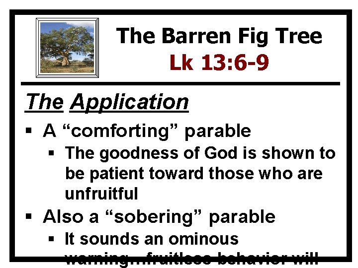 The Barren Fig Tree Lk 13: 6 -9 The Application § A “comforting” parable