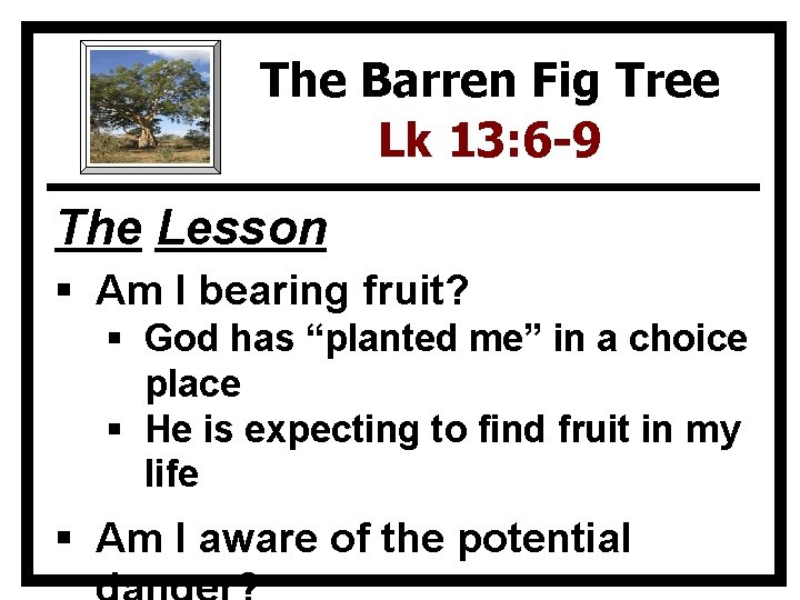 The Barren Fig Tree Lk 13: 6 -9 The Lesson § Am I bearing