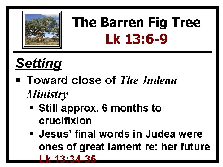 The Barren Fig Tree Lk 13: 6 -9 Setting § Toward close of The