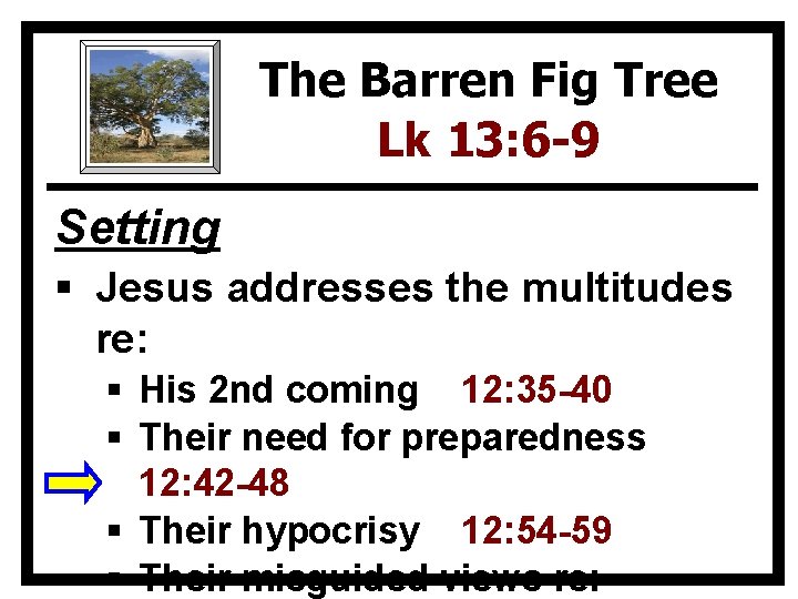 The Barren Fig Tree Lk 13: 6 -9 Setting § Jesus addresses the multitudes