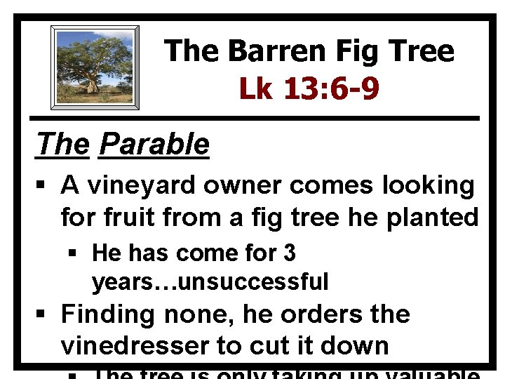 The Barren Fig Tree Lk 13: 6 -9 The Parable § A vineyard owner