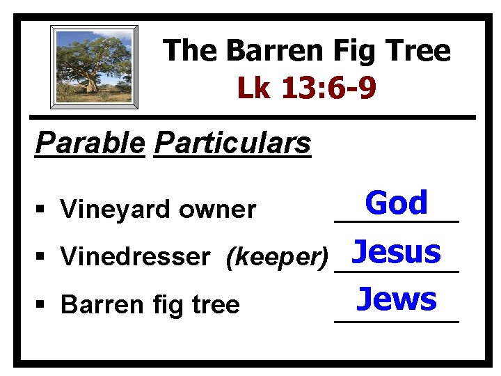 The Barren Fig Tree Lk 13: 6 -9 Parable Particulars § Vineyard owner God