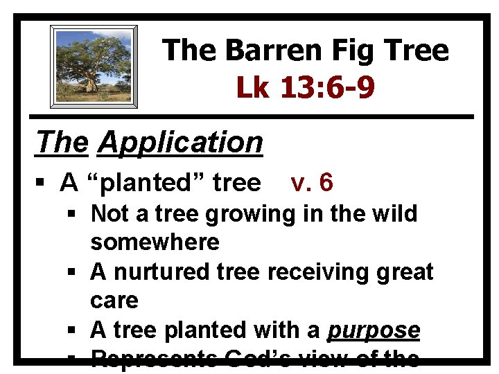 The Barren Fig Tree Lk 13: 6 -9 The Application § A “planted” tree