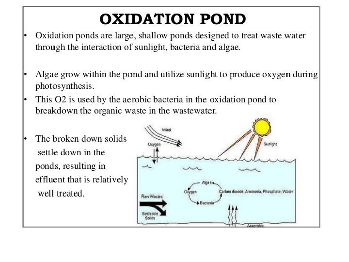 OXIDATION POND These are used by farmers and