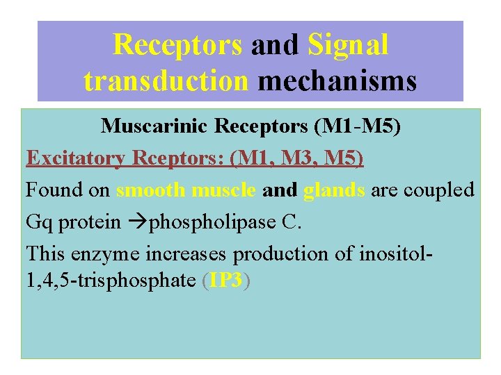 Receptors and Signal transduction mechanisms Muscarinic Receptors (M 1 -M 5) Excitatory Rceptors: (M