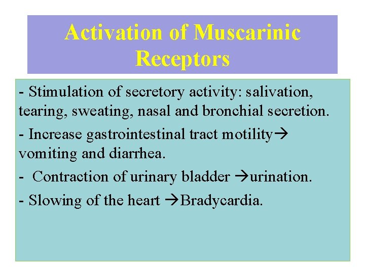 Activation of Muscarinic Receptors - Stimulation of secretory activity: salivation, tearing, sweating, nasal and