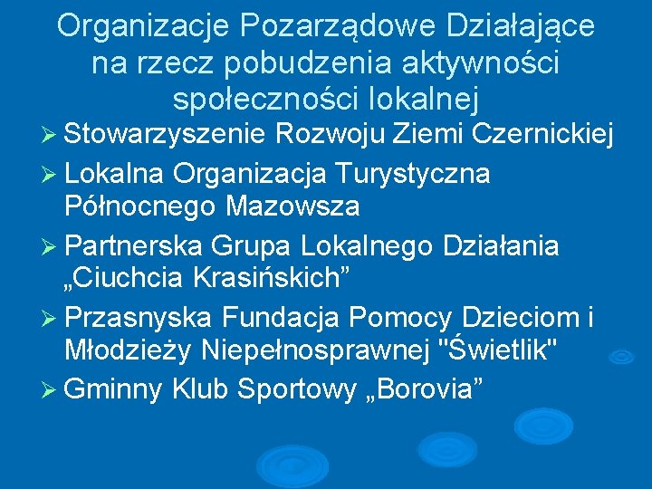 Organizacje Pozarządowe Działające na rzecz pobudzenia aktywności społeczności lokalnej Stowarzyszenie Rozwoju Ziemi Czernickiej Lokalna