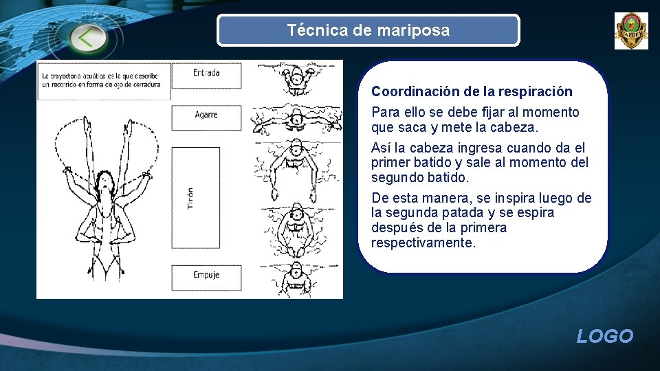 Técnica de mariposa Coordinación de la respiración Para ello se debe fijar al momento