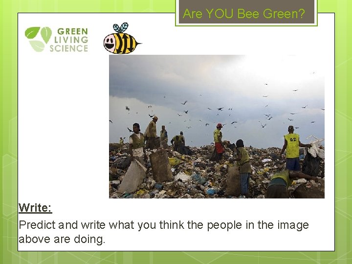 Are YOU Bee Green? Write: Predict and write what you think the people in