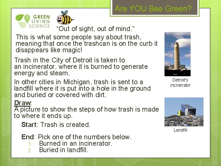 Are YOU Bee Green? “Out of sight, out of mind. ” This is what