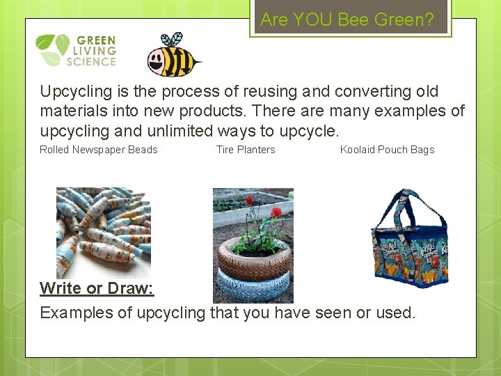 Are YOU Bee Green? Upcycling is the process of reusing and converting old materials