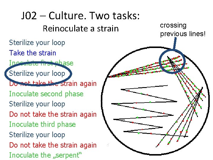 J 02 – Culture. Two tasks: Reinoculate a strain Sterilize your loop Take the