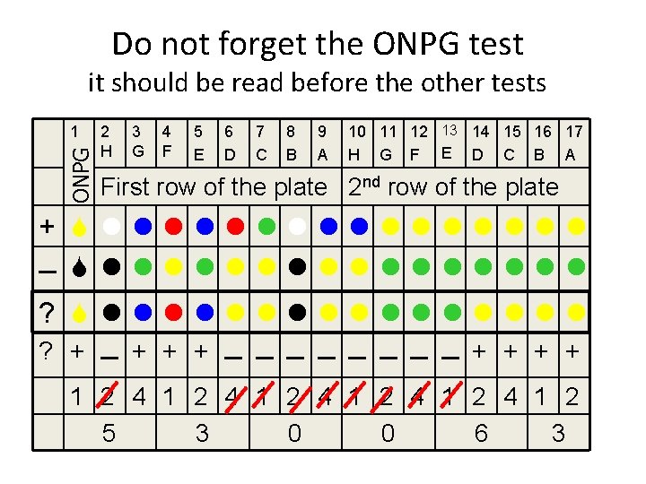 Do not forget the ONPG test it should be read before the other tests