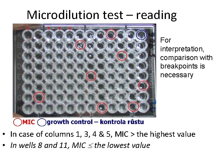 Microdilution test – reading For interpretation, comparison with breakpoints is necessary • In case