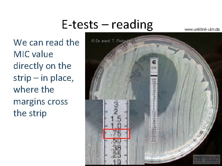 E-tests – reading We can read the MIC value directly on the strip –