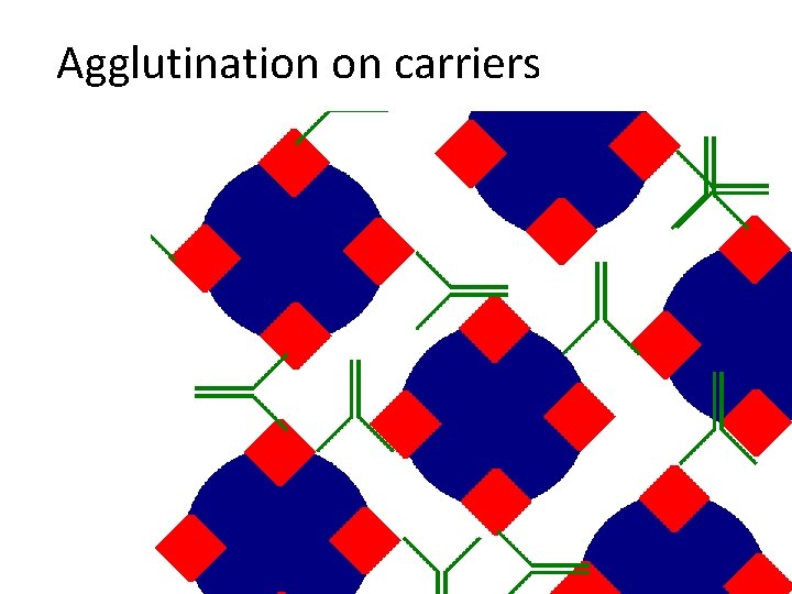 Agglutination on carriers 