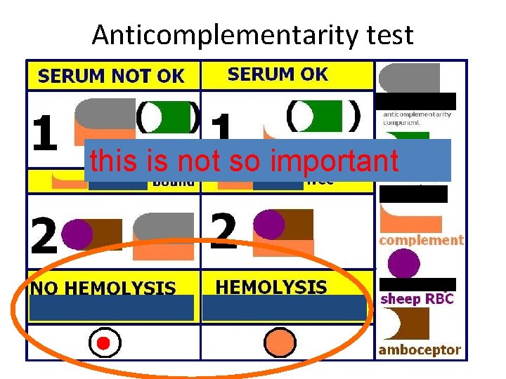 Anticomplementarity test this is not so important 