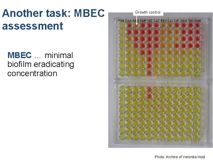 Another task: MBEC assessment Growth control PEN OXA AMS CMP TET COT ERY CLI