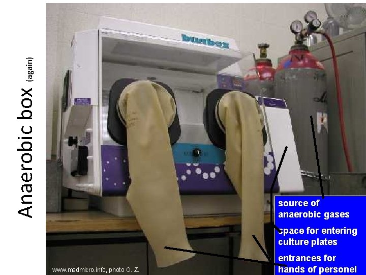 Anaerobic box (again) source of anaerobic gases space for entering culture plates www. medmicro.