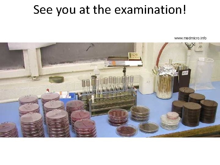 See you at the examination! www. medmicro. info 