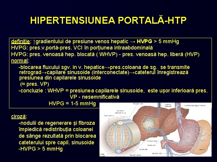 HIPERTENSIUNEA PORTALĂ-HTP definiţie: ↑gradientului de presiune venos hepatic → HVPG > 5 mm. Hg