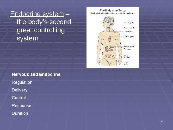 Endocrine system – the body’s second great controlling system Nervous and Endocrine Regulation Delivery