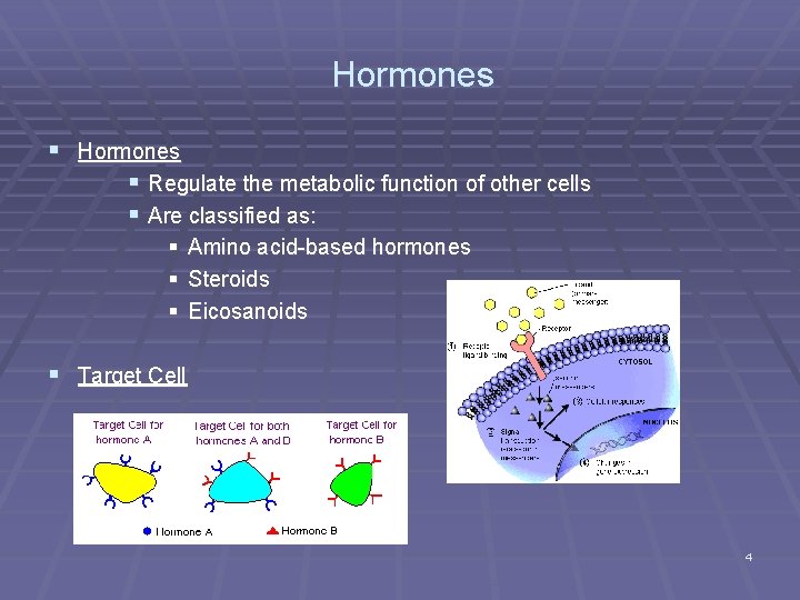 Hormones § Regulate the metabolic function of other cells § Are classified as: §