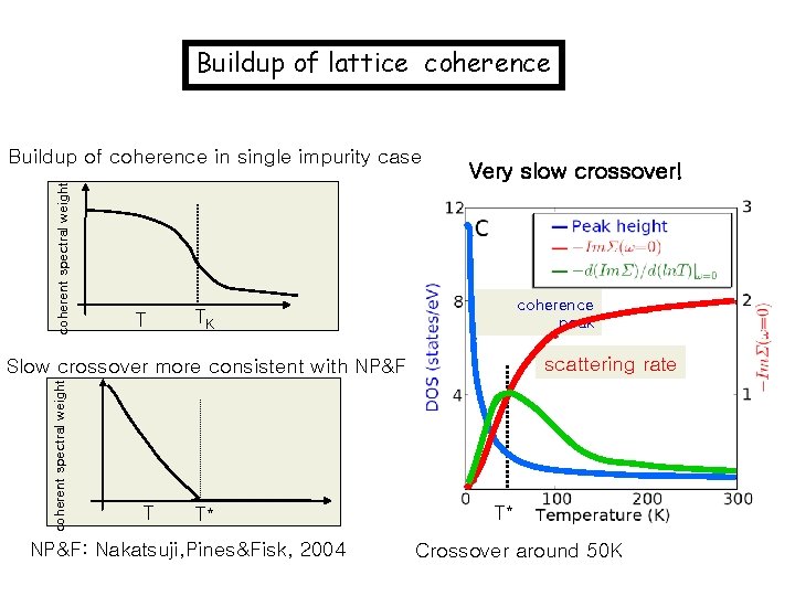 Buildup of lattice coherent spectral weight Buildup of coherence in single impurity case T