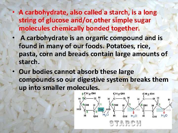  • A carbohydrate, also called a starch, is a long string of glucose