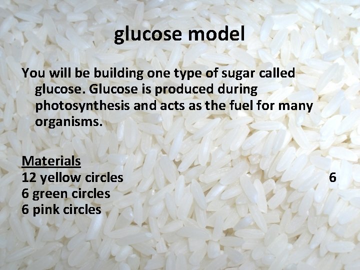 glucose model You will be building one type of sugar called glucose. Glucose is