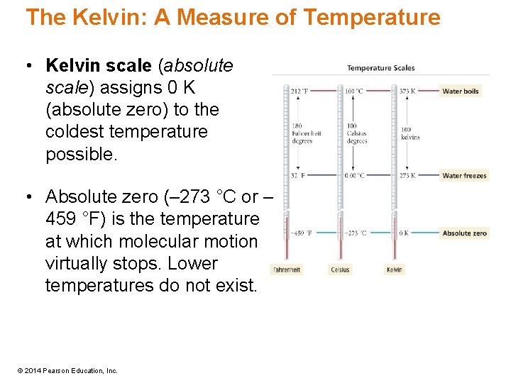 The Kelvin: A Measure of Temperature • Kelvin scale (absolute scale) assigns 0 K