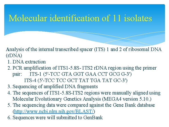 Molecular identification of 11 isolates Analysis of the internal transcribed spacer (ITS) 1 and