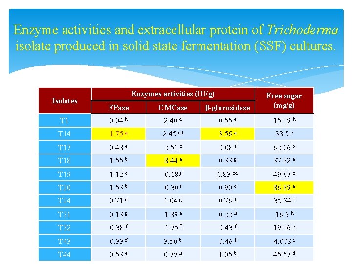Enzyme activities and extracellular protein of Trichoderma isolate produced in solid state fermentation (SSF)