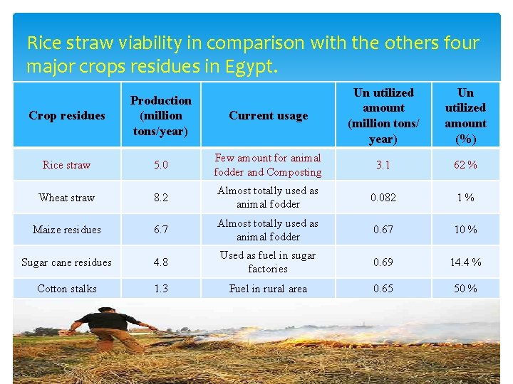 Rice straw viability in comparison with the others four major crops residues in Egypt.