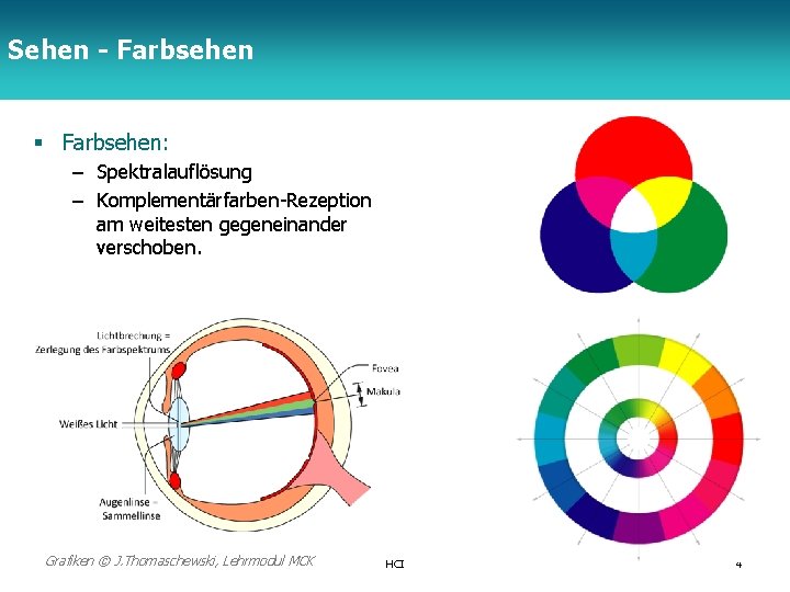 Sehen - Farbsehen TFH Berlin § Farbsehen: – Spektralauflösung – Komplementärfarben-Rezeption am weitesten gegeneinander