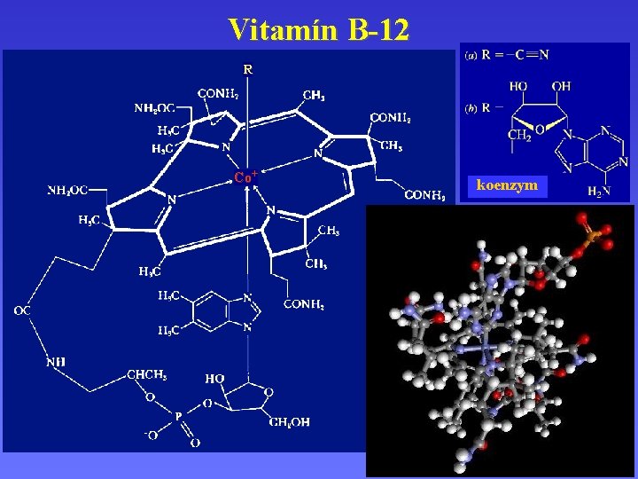 Vitamín B-12 R Co+ koenzym 