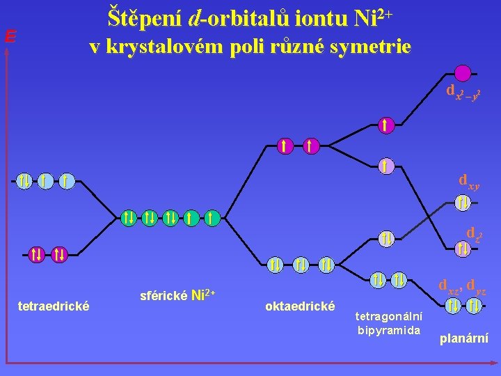 E Štěpení d-orbitalů iontu Ni 2+ v krystalovém poli různé symetrie dx 2 –