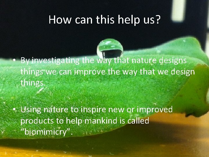 How can this help us? • By investigating the way that nature designs things
