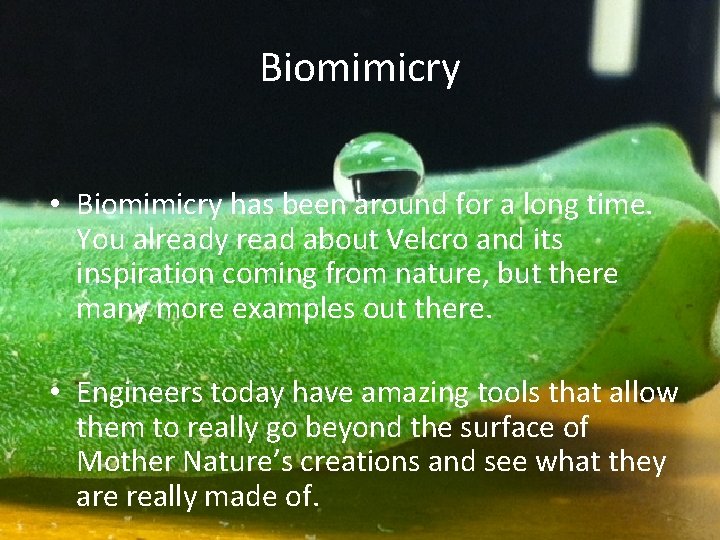Biomimicry • Biomimicry has been around for a long time. You already read about