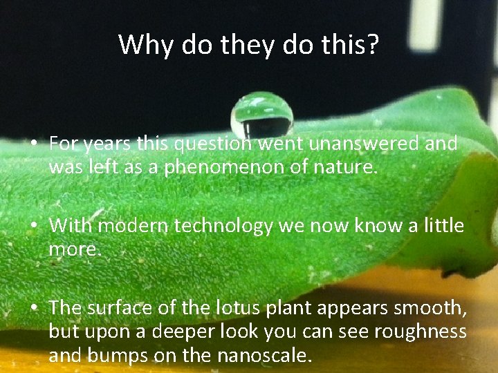 Why do they do this? • For years this question went unanswered and was