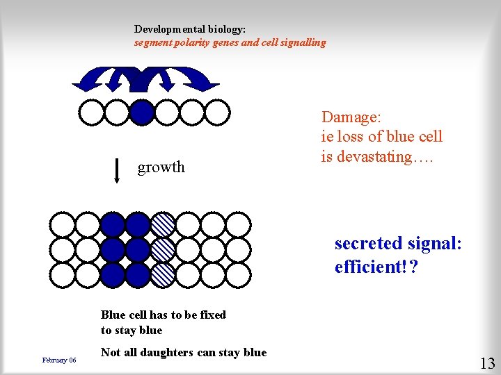 Developmental biology: segment polarity genes and cell signalling growth Damage: ie loss of blue