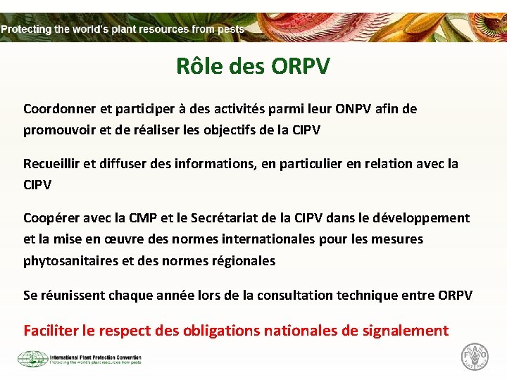 Rôle des ORPV Coordonner et participer à des activités parmi leur ONPV afin de