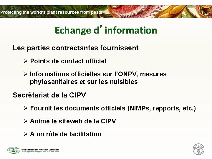 Echange d’information Les parties contractantes fournissent Ø Points de contact officiel Ø Informations officielles