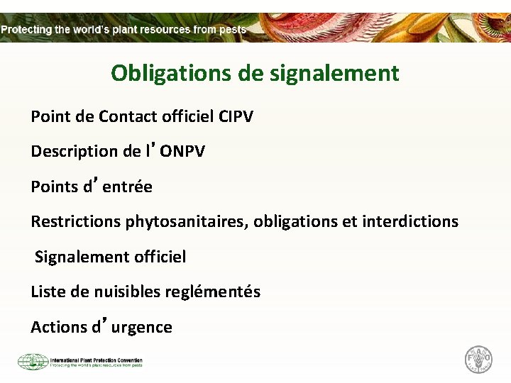 Obligations de signalement Point de Contact officiel CIPV Description de l’ONPV Points d’entrée Restrictions