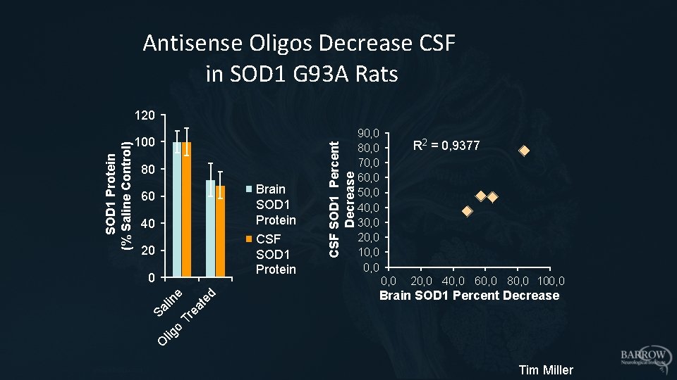 Antisense Oligos Decrease CSF in SOD 1 G 93 A Rats 80 Brain SOD