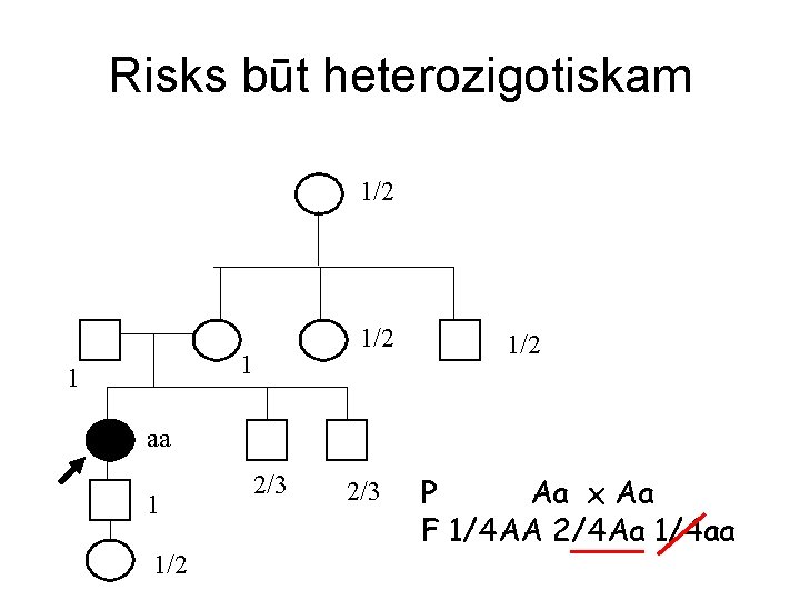 Risks būt heterozigotiskam 1/2 1 1 1/2 aa 1 1/2 2/3 P Aa x