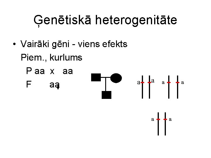 Ģenētiskā heterogenitāte • Vairāki gēni - viens efekts Piem. , kurlums P aa x
