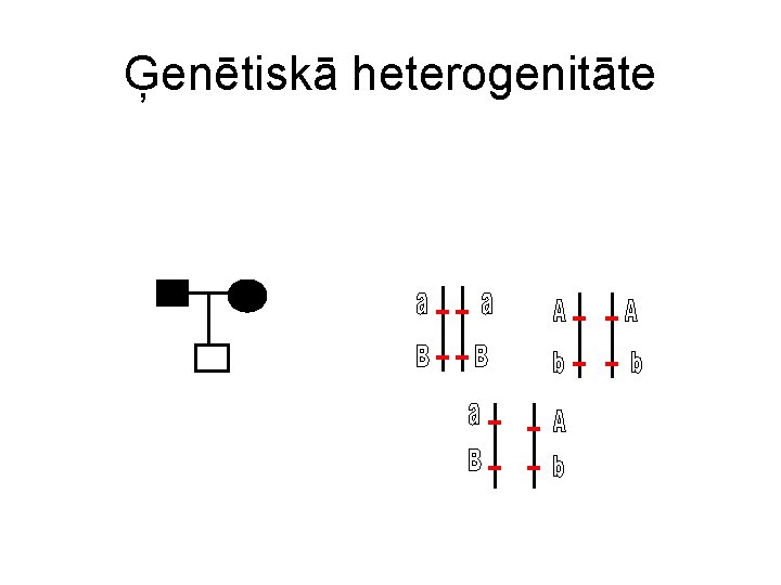 Ģenētiskā heterogenitāte 