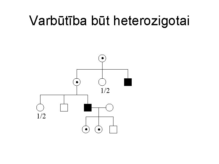 Varbūtība būt heterozigotai 1/2 