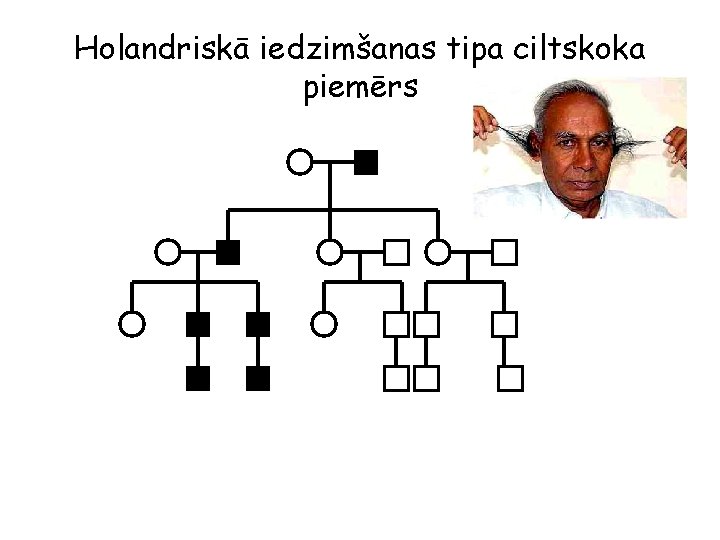 Holandriskā iedzimšanas tipa ciltskoka piemērs 